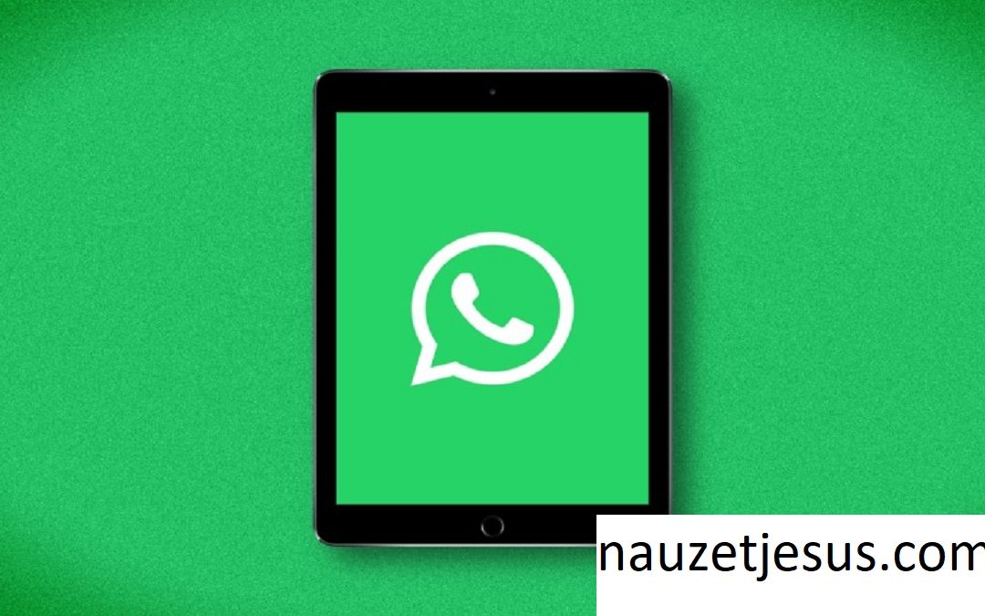 WhatsApp te permitirá compartir música y vídeos con tus contactos