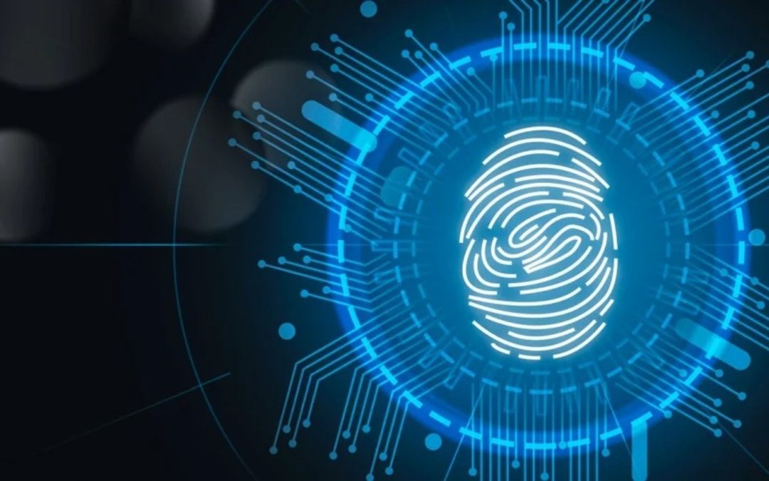 El identificador digital de la UE: ¿oportunidad o amenaza?
